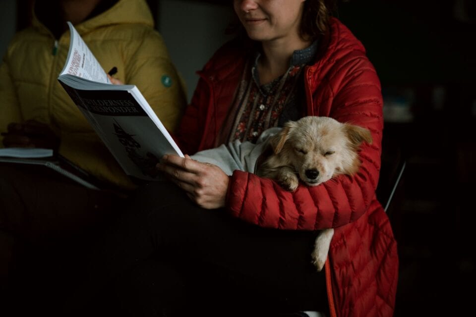 Cane che dorme mentre la padrona legge una rivista.